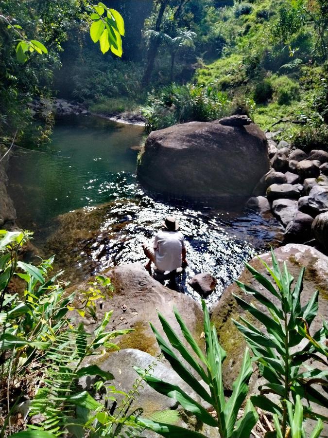 Hospedaje Bosque Del Rio Monteverde Luaran gambar